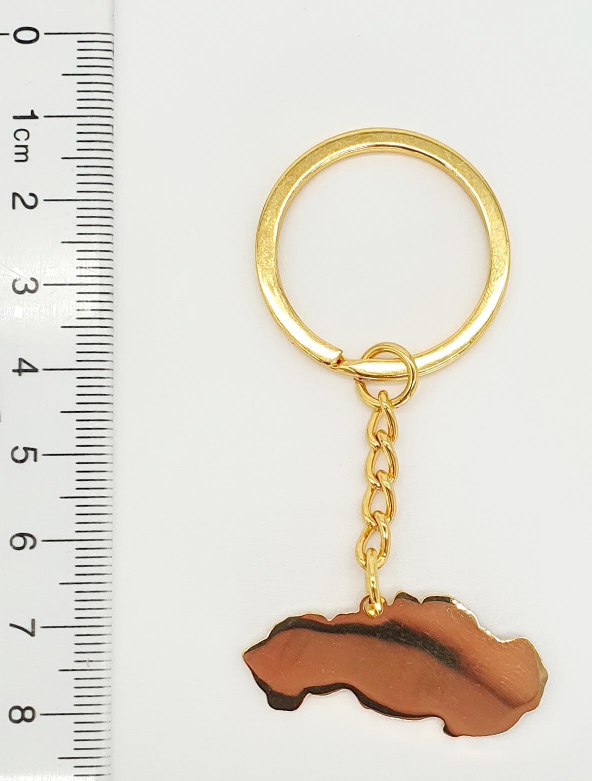 Slovakia Map Outline Slovakian Gold Country Flag Key Ring Chain Metal Enamel Keyring