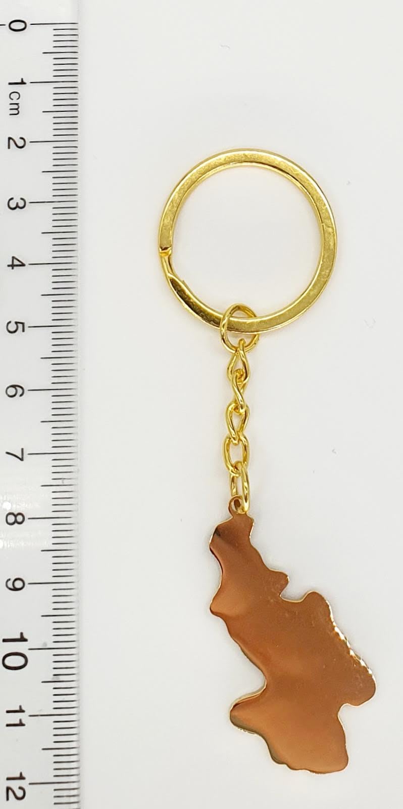 SNS Components North Korea Korean Map Outline Gold Country Flag Key Ring Chain Metal Enamel Keyring