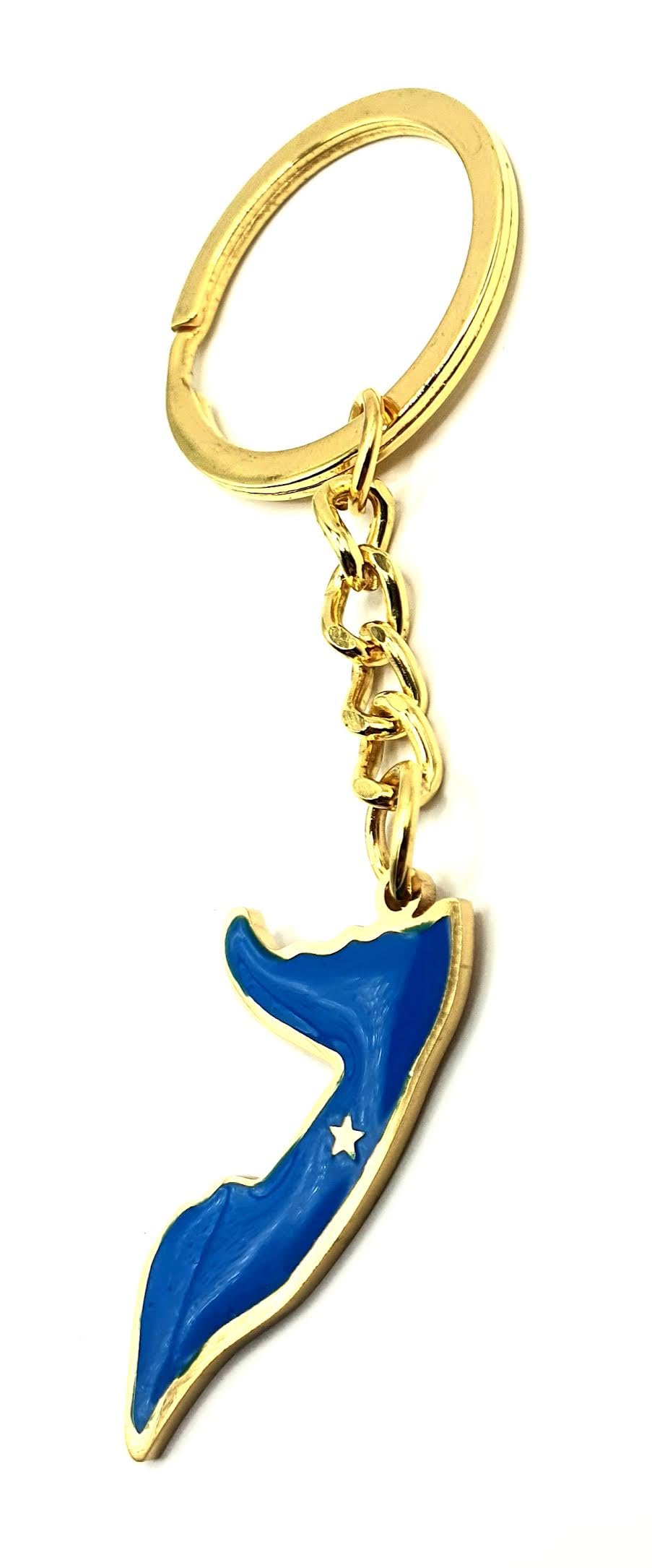 Somalia Africa Somali African Gold Country Flag Map Key Ring Chain Metal Enamel Keyring