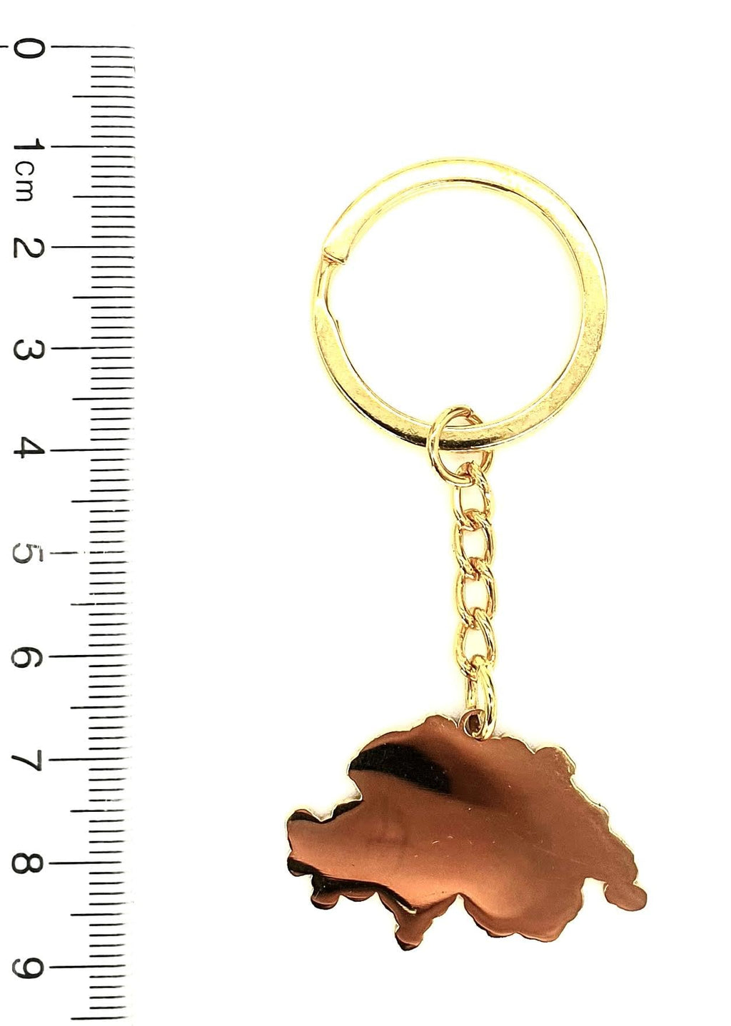 SNS Components Swiss Switzerland Map Outline Gold Country Flag Key Ring Chain Metal Enamel Keyring