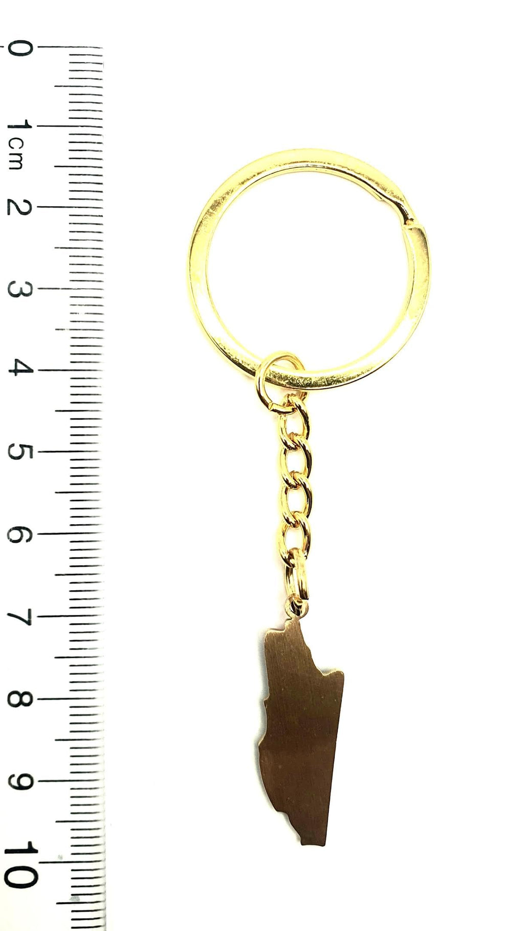 Belize Central America Gold Key Ring Chain Country Flag Metal Enamel Keyring