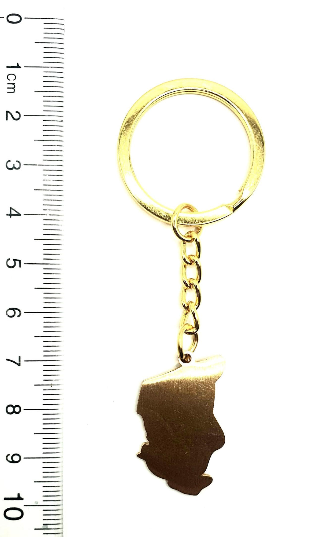 SNS Components Chad Central Africa Republic of Chad Gold Key Ring Chain Country Flag Metal Enamel Keyring