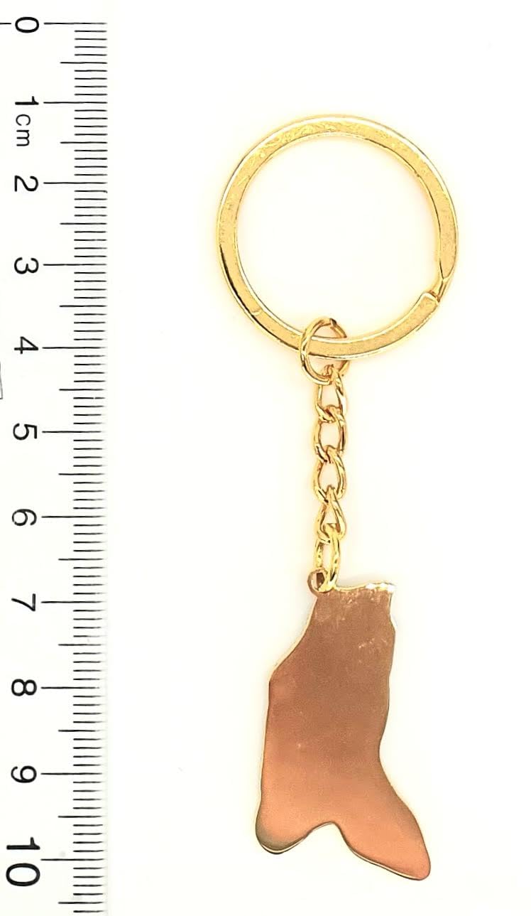 Moldova Map Outline Gold Country Flag Key Ring Chain Metal Enamel Keyring