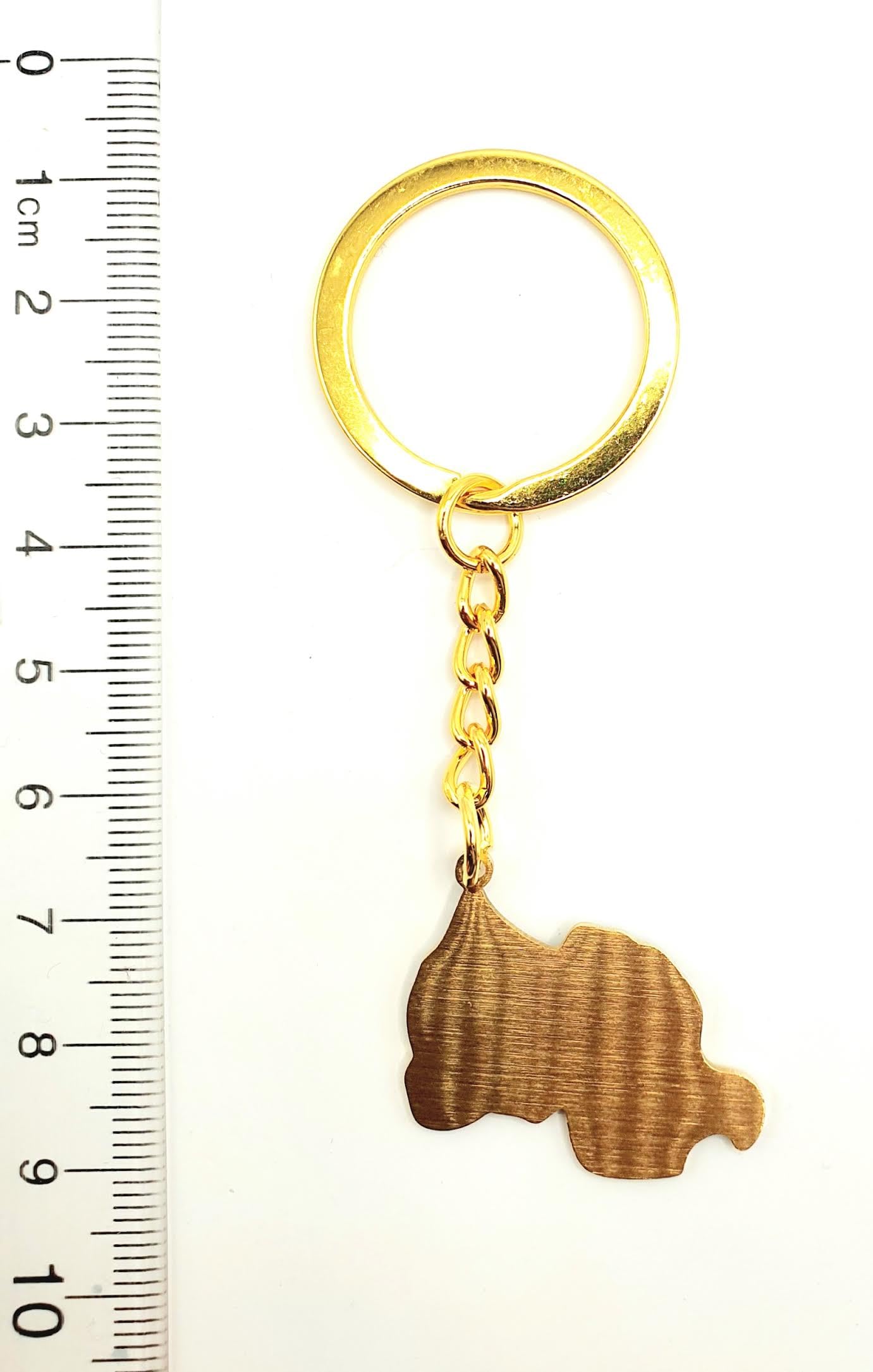 SNS Components Rwanda Rwandan Africa African Gold Key Ring Chain Country Flag Metal Enamel Keyring