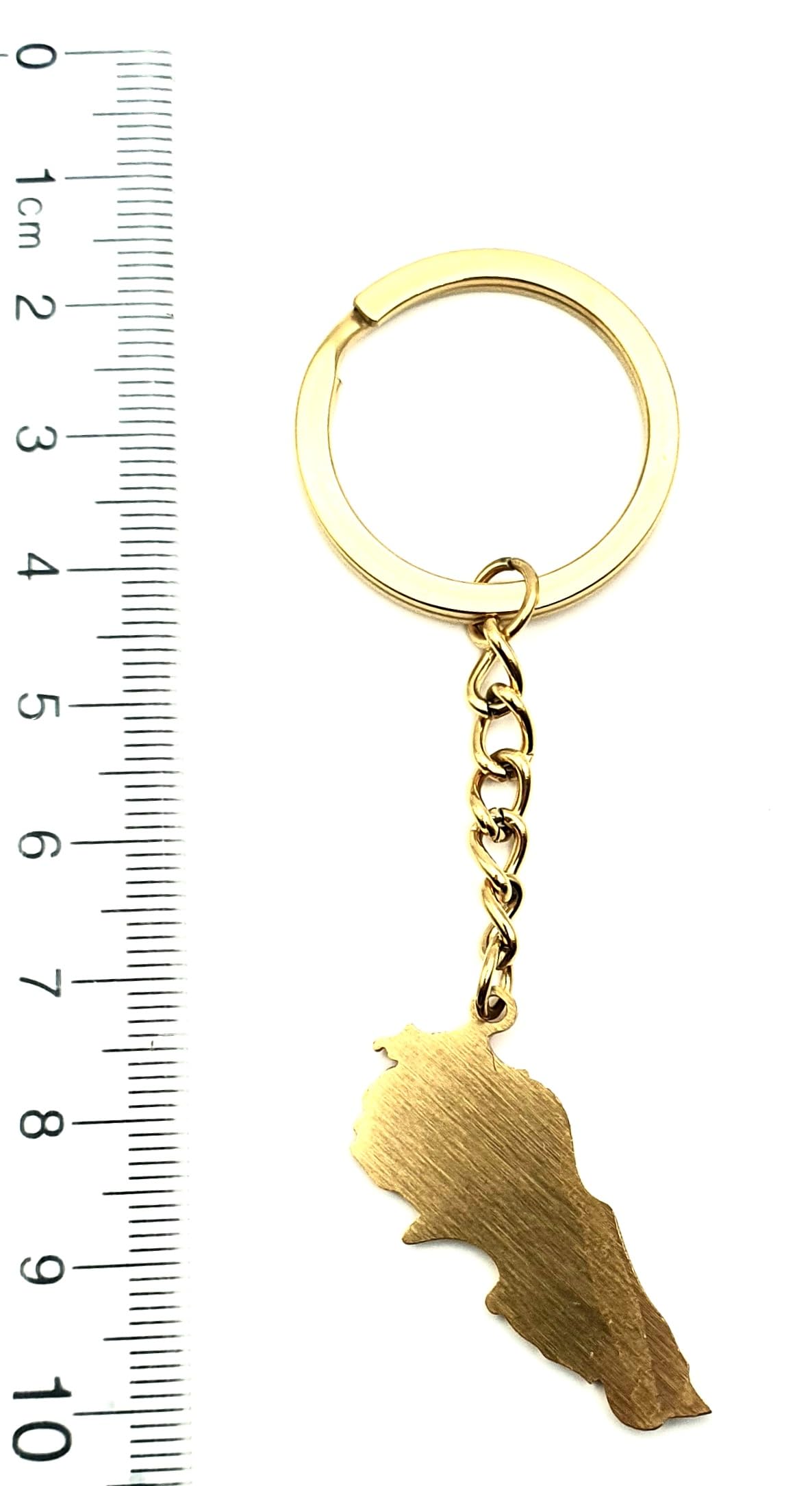 Lebanon Lebanese Middle East Eastern Gold Country Flag Key Ring Chain Metal Enamel Keyring
