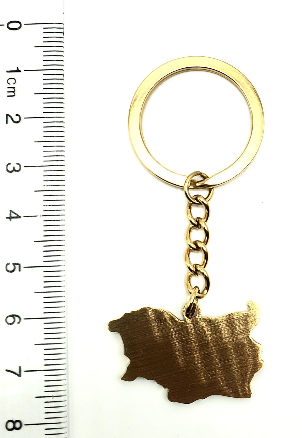 SNS Components Bulgaria Bulgarian Map Outline EU European Eastern Europe East Balkan Balkans Gold Country Flag Key Ring Metal Enamel Keyring