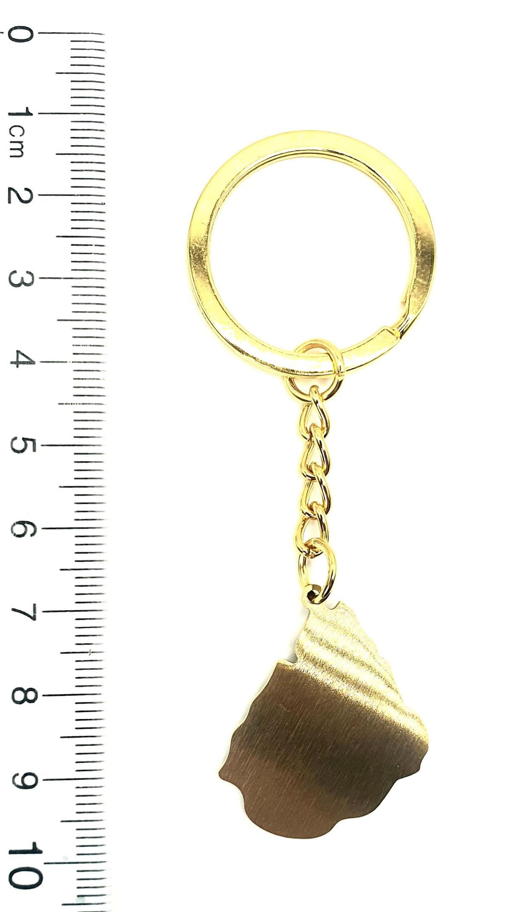 Uruguay South America Gold Key Ring Chain Country Flag Metal Enamel Keyring