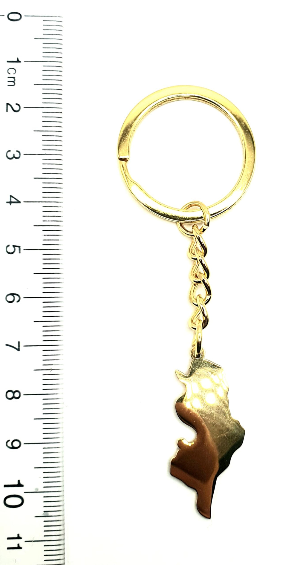 SNS Components Tunisia Tunisian Africa African Gold Country Flag Key Ring Metal Enamel Keyring
